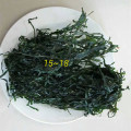 2020 High quality Machine dried kelp laminaria seaweed